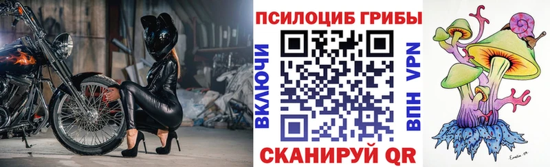 продажа наркотиков  Можайск  Галлюциногенные грибы прущие грибы 